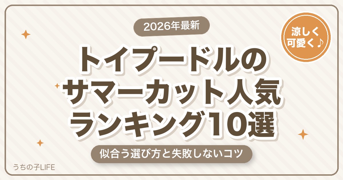 トイプードルのサマーカット人気ランキング10選！似合う選び方と失敗しないコツ