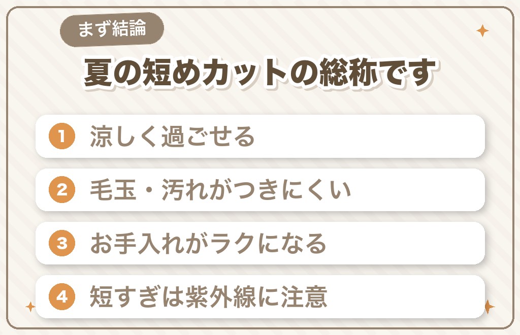 トイプードルのサマーカットとは？まず知りたい結論