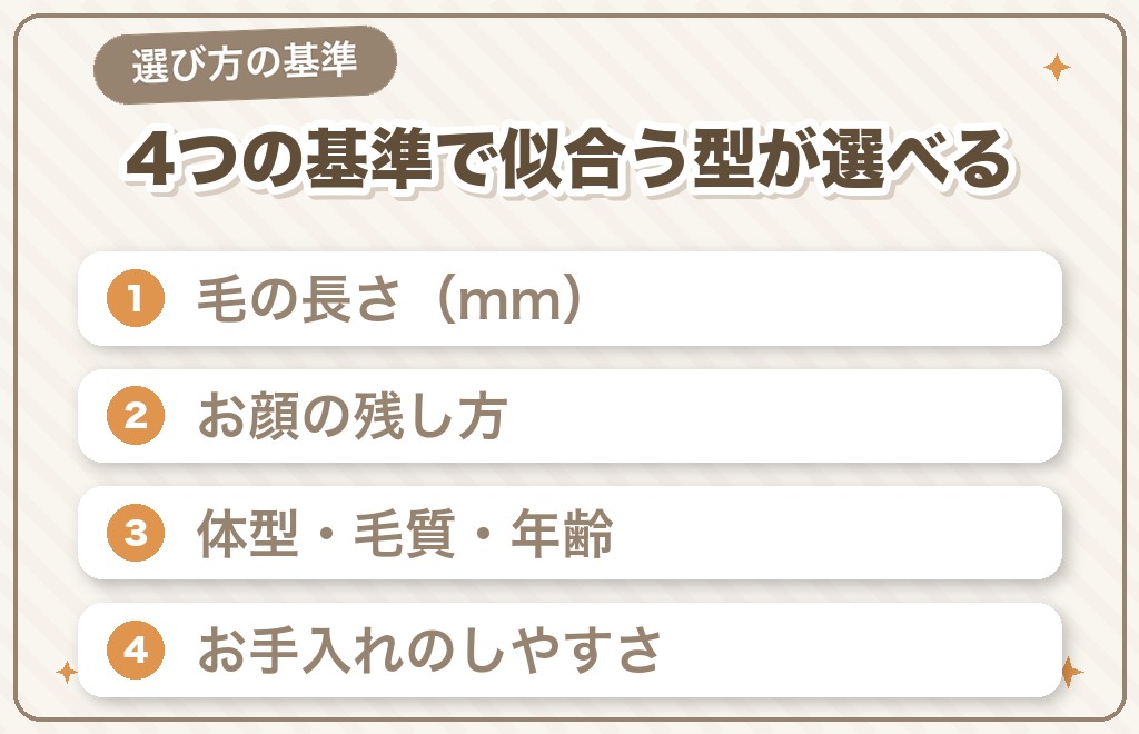 トイプードルのサマーカット選び方4つのポイント