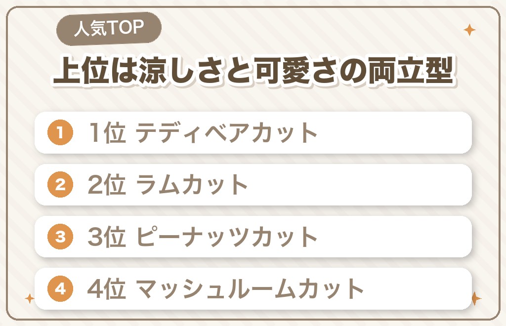 トイプードルのサマーカット人気ランキング10選
