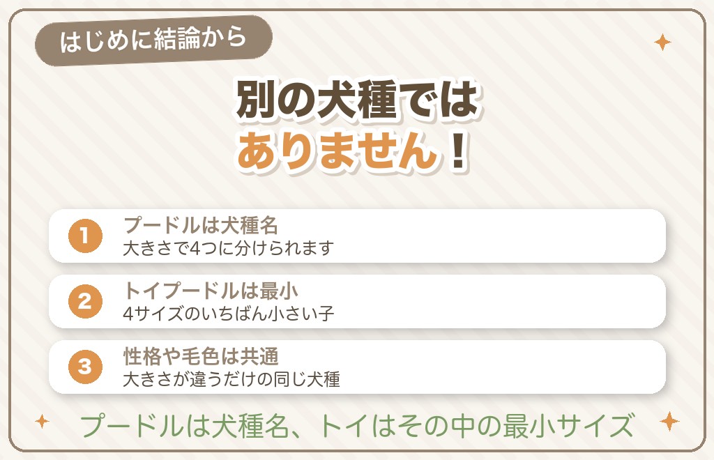 トイプードルとプードルの違いは？まずは結論から