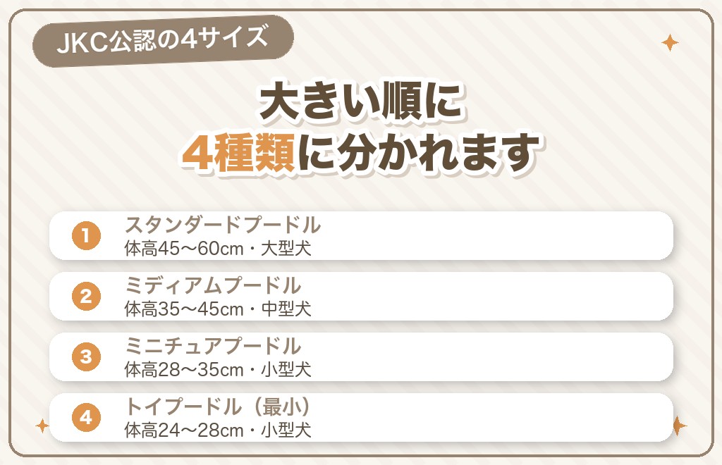 プードルは大きさで4種類｜サイズ早見表
