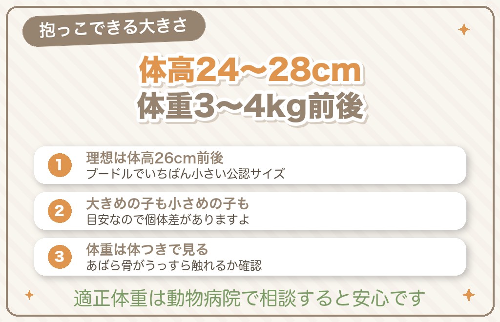 トイプードルはどのくらいの大きさ？