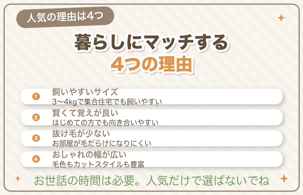 なぜトイプードルが日本でいちばん人気なの？