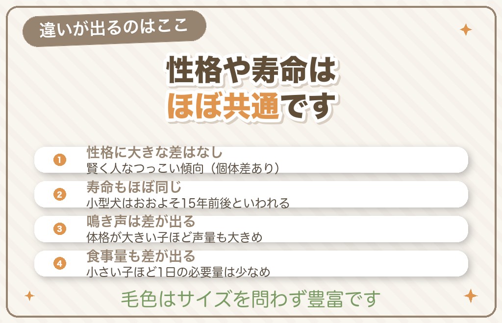 トイプードルとプードルは大きさ以外に違いはある？性格・寿命・鳴き声・食事
