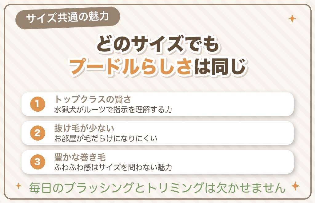 サイズが違っても共通するプードルの魅力